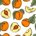 Apricot with Drupe Fruit Similar to a Small Peach and Sliced Pieces Vector Seamless Pattern