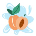 Apricot. Exotic tropical peaches or apricots fresh fruit. Whole and half juicy peach on blue background. Vector cartoon