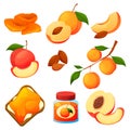 Apricot food, fruit products, desserts jam, juice