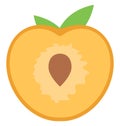 Apricot, food Isolated Color Vector Icon that can be easily modified or edit.