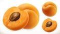 Apricot. Fresh fruit 3d vector icon