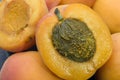 Apricot fruit Royalty Free Stock Photo