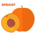 Cross sectional Apricot fruit clip art