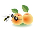 Apricot fruit face attack insect