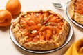 Apricot fruit galette, cake or open fruit pie with almond and rosemary. Royalty Free Stock Photo