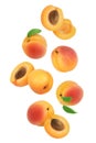 Apricot fruit with half and slices isolated on white background. Clipping path. Top view. Flat lay Royalty Free Stock Photo