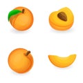 Apricot fruit icons set cartoon vector. Ripe apricot
