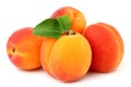 Apricot fruit with leaf  isolated Royalty Free Stock Photo