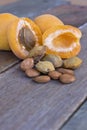 Apricot fruit with pips and kernels in the foreground.