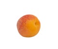 Apricot Fruit Royalty Free Stock Photo