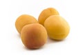 Apricot Fruits