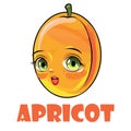 Apricot fruits. Face. Inscription. The isolated object on a white background. Ripe. Cartoon flat style. Illustration