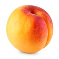 Apricot