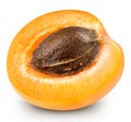 Apricot fruits isolated Royalty Free Stock Photo