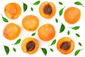 Apricot fruits with leaves isolated on white background. Top view. Flat lay pattern Royalty Free Stock Photo