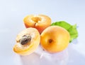 Apricot fruits Royalty Free Stock Photo