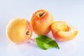 Apricot fruits Royalty Free Stock Photo