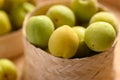 Apricot green with yellow Japanese apricot Royalty Free Stock Photo