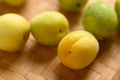 Apricot green with yellow Japanese apricot Royalty Free Stock Photo