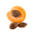 Apricot half with core Royalty Free Stock Photo