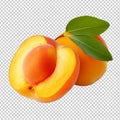 Apricot half isolated on transparent background Royalty Free Stock Photo