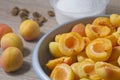 Apricot halves in a bowl, preparation for making preserves or jam Royalty Free Stock Photo