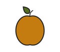 Apricot icon illustrated