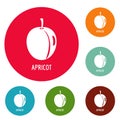 Apricot icons circle set vector