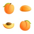 Apricot icons set cartoon vector. Fresh ripe fruit