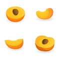 Apricot icons set cartoon vector. Ripe apricot piece