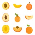 Apricot icons set, flat style