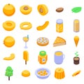 Apricot icons set, isometric style