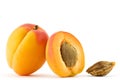 Apricot isolated Royalty Free Stock Photo