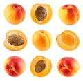 Apricot isolated Clipping Path Royalty Free Stock Photo