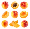 Apricot isolated Clipping Path Royalty Free Stock Photo