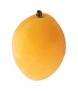 Apricot isolated on white backgeound Royalty Free Stock Photo