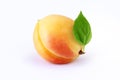 Apricot isolated white background Royalty Free Stock Photo