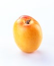 Apricot isolated white background Royalty Free Stock Photo