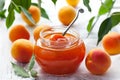 Apricot jam Royalty Free Stock Photo