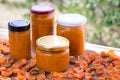 Apricot jam cans cooked from summer harvest of melow berries Royalty Free Stock Photo