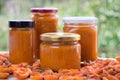 Apricot jam cans cooked from summer harvest of melow fruits Royalty Free Stock Photo