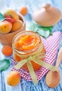 Apricot jam Royalty Free Stock Photo