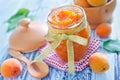 Apricot jam Royalty Free Stock Photo