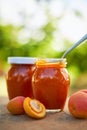 Apricot jam in glass jars with fresh fruit Royalty Free Stock Photo