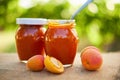 Apricot jam in glass jars with fresh fruit Royalty Free Stock Photo