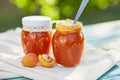 Apricot jam in glass jars with fresh fruit Royalty Free Stock Photo