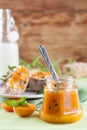 Apricot jam with mint Royalty Free Stock Photo