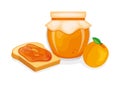Toasted bread with apricot jam vector illustration Royalty Free Stock Photo