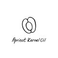 Apricot kernel oil. Cosmetic ingredient. Nutritional oil for skin care. Hand-drawn icon of apricot. Vector illustration