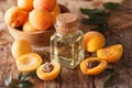 apricot kernel oil in a glass jar closeup and ingredients. Horizontal